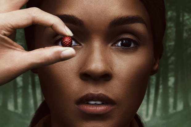 Análise da série Homecoming (2ª temporada)