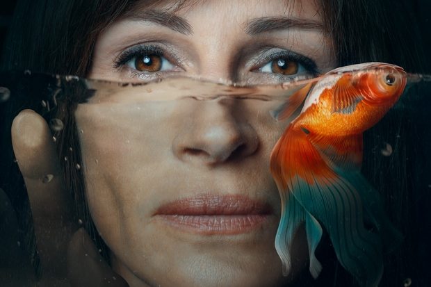 Análise da série Homecoming (1ª temporada)