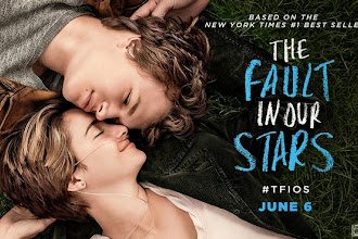 Os filmes mais vistos no Brasil em 2014