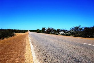 Descubra qual é a maior estrada do mundo